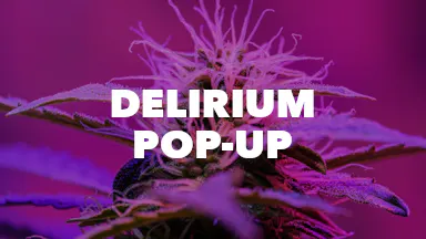Delirium Pop-Up event image