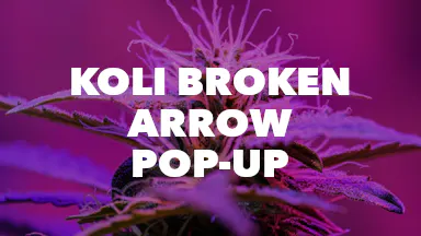Koli Broken Arrow Pop-Up event image