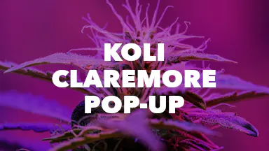 Koli Claremore Pop-Up event image