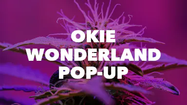 Okie Wonderland Pop-Up event image