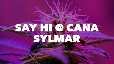 Say Hi @ Cana Sylmar event image