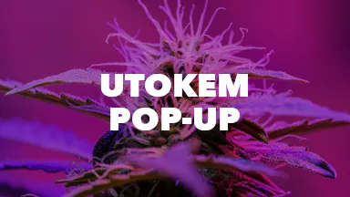 Utokem Pop-Up event image