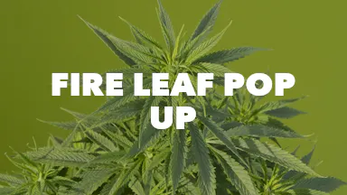 Fire Leaf Pop Up event image