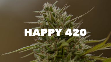Happy 420 event image