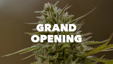 Grand Opening event image