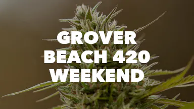 Grover Beach 420 Weekend event image