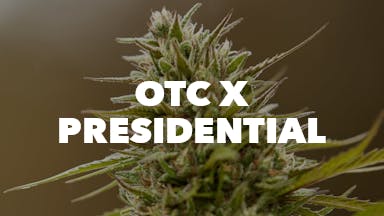 OTC x Presidential event image