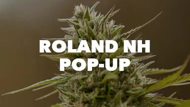 Roland NH Pop-Up event image