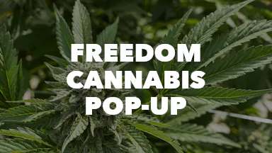 Freedom Cannabis Pop-Up event image