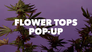 Flower Tops Pop-Up event image