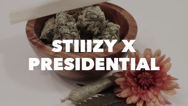 Stiiizy x Presidential event image