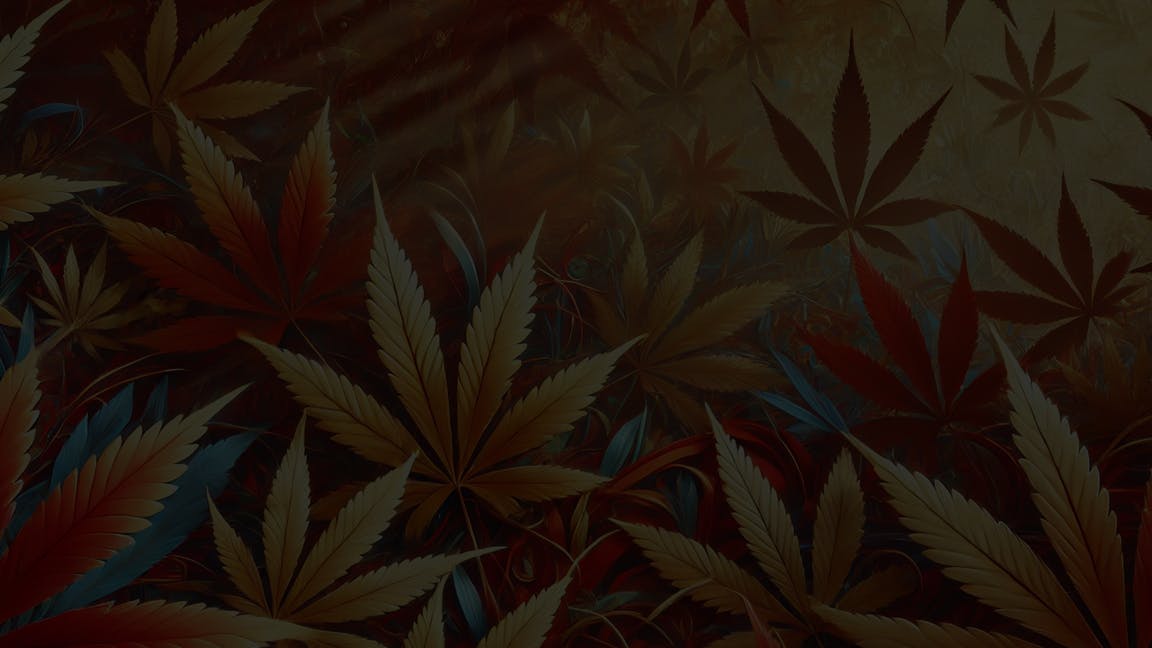 PATIENT DRIVE event image