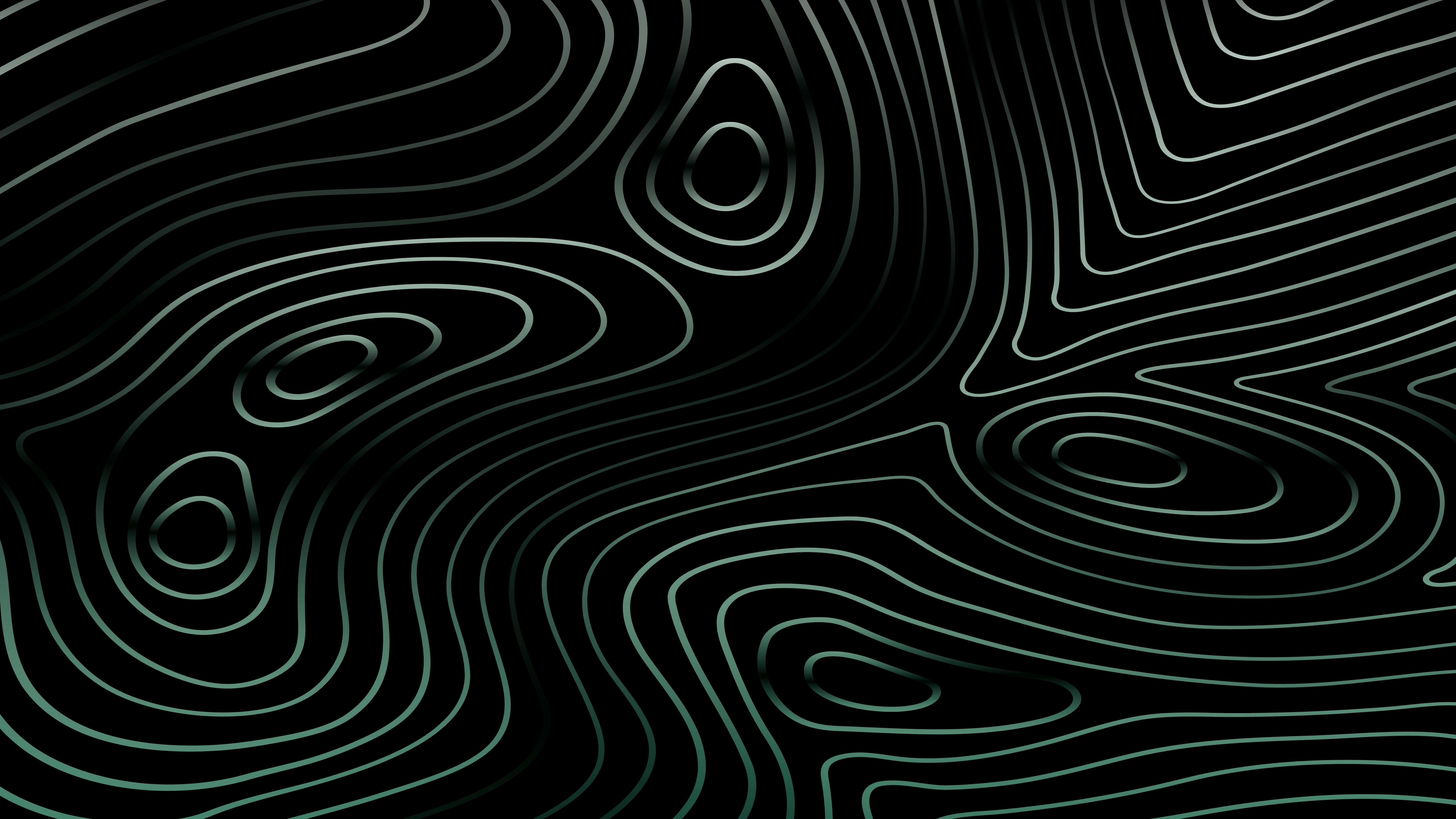 Verilife Newton Opening! event image