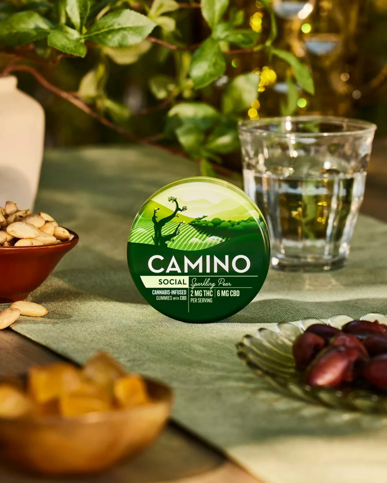 Camino - Social | Sparkling Pear THC:CBD 1:3 Gummies | 20mg | 10ct | 2mg/ea - 1