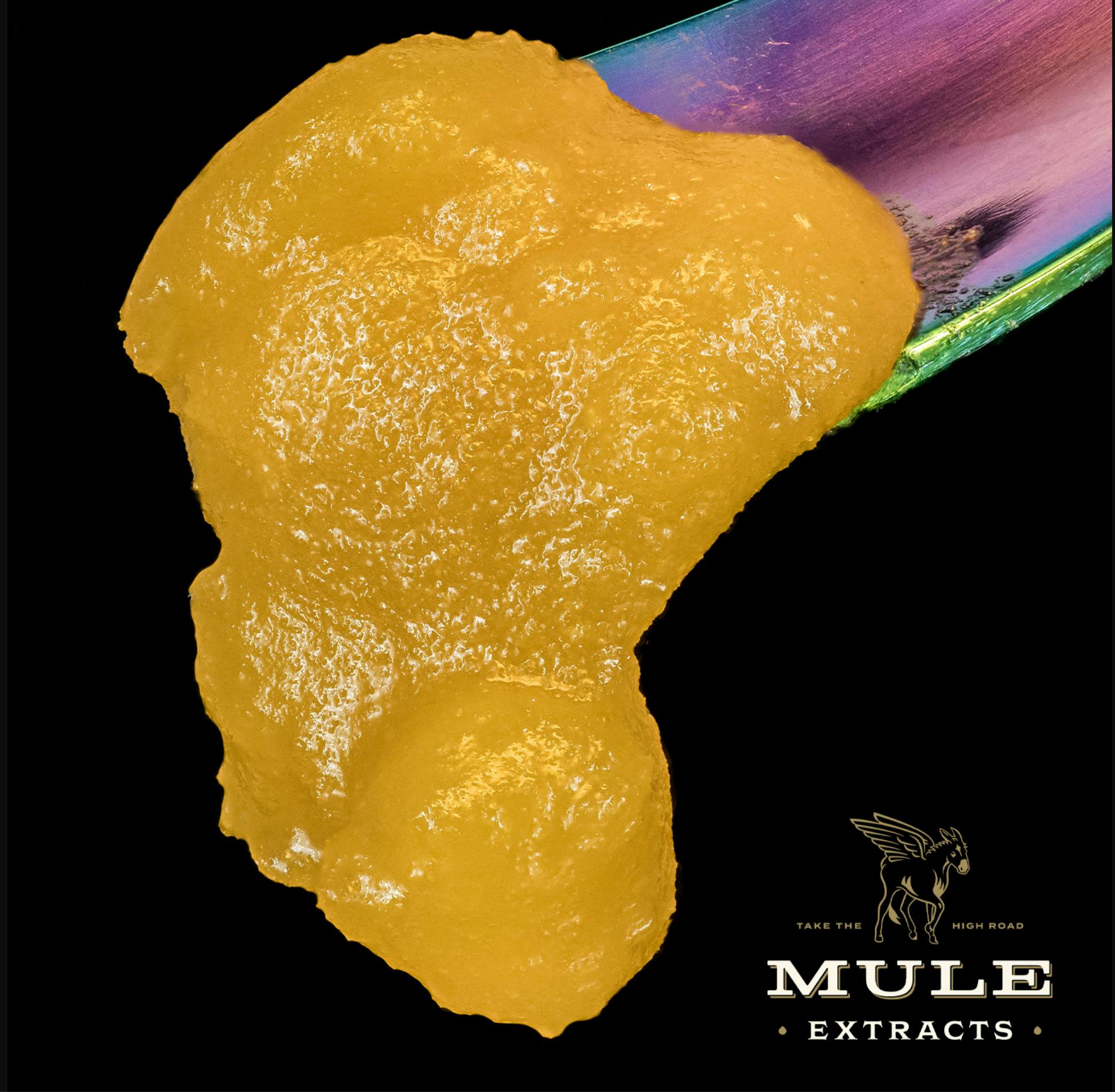 Mule Extracts - Cinex | Live Resin | 2g - 1