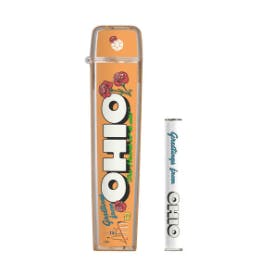 Timeless Vapes - Greetings From Ohio Flip Case & Battery Combo | Battery - 1