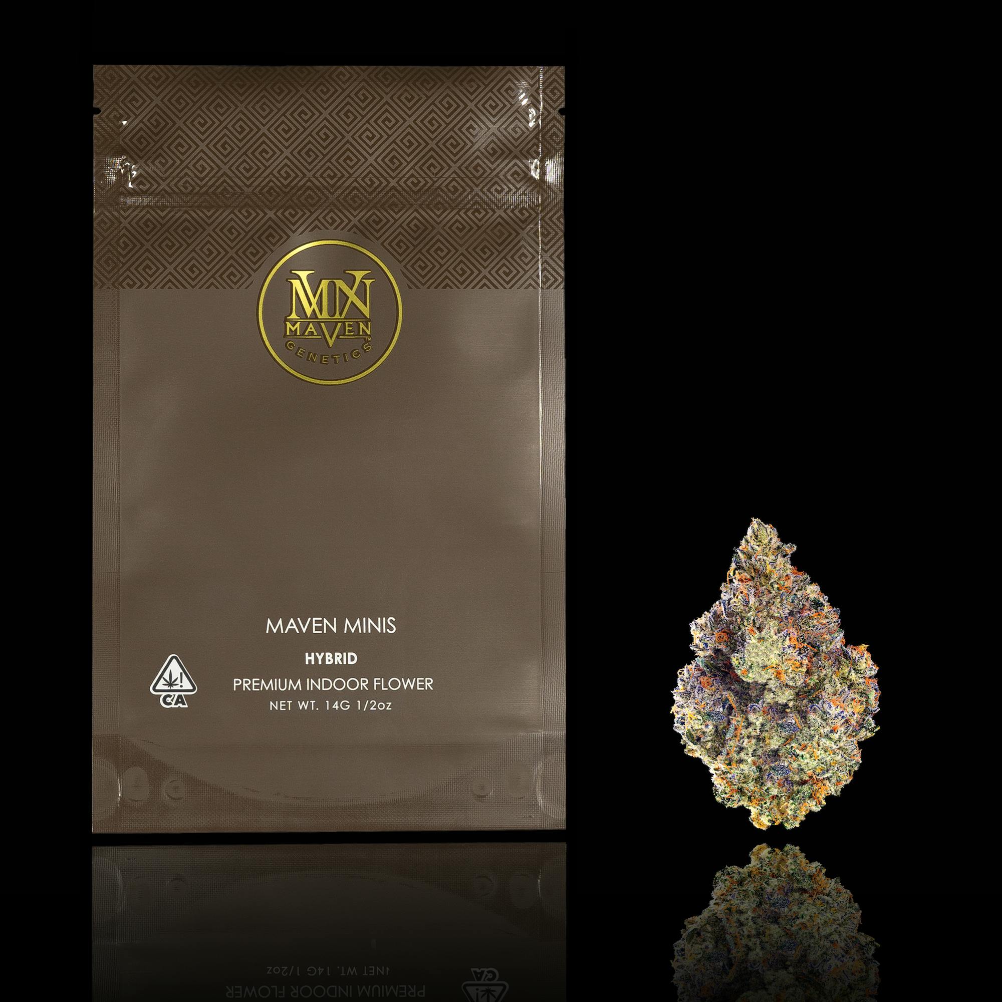 Maven Genetics - Chem 51 Maven Minis [14g] - 1