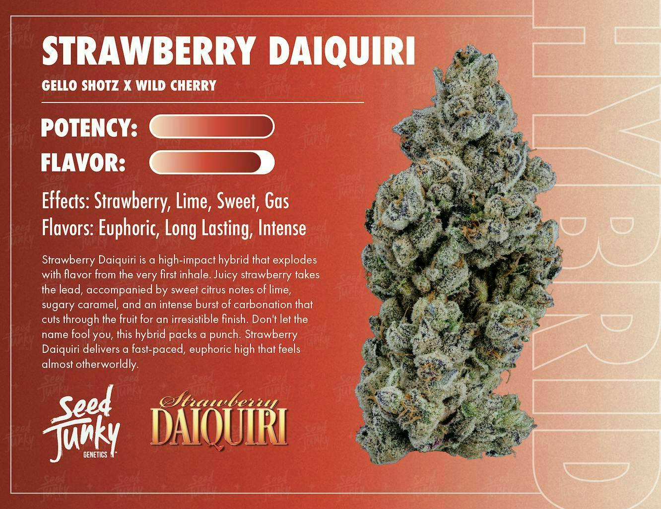 Seed Junky - Strawberry Daiquiri | Joint | 1g - 1