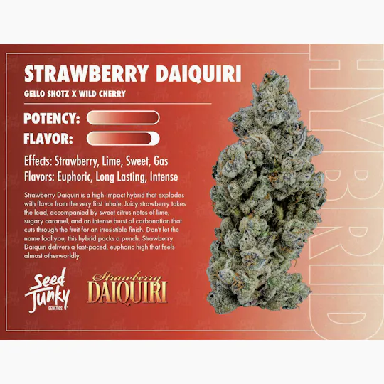 Seed Junky - Strawberry Daiquiri | Joint | 1g - 1