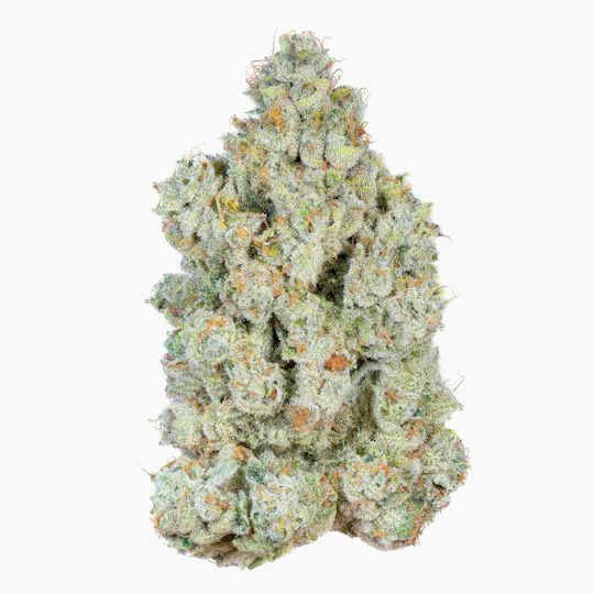 Alien Labs - Dark Web | Indoor Flower | 3.5g - 1