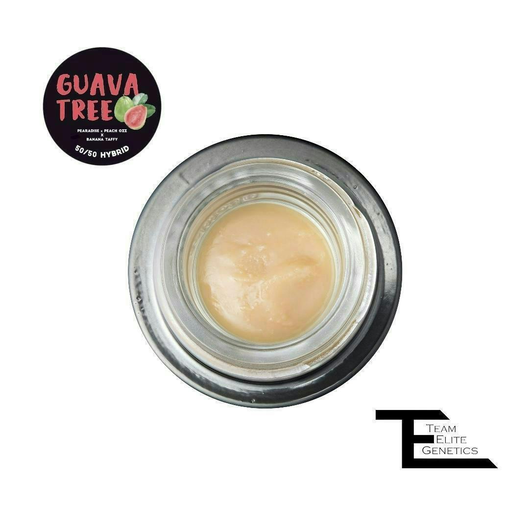 Team Elite Genetics - Guava Tree | Rosin | Cold Cure Badder | 1g - 1