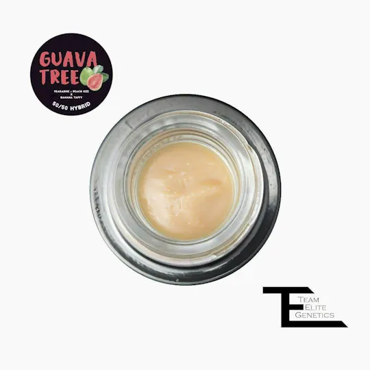Team Elite Genetics - Guava Tree | Rosin | Cold Cure Badder | 1g - 1