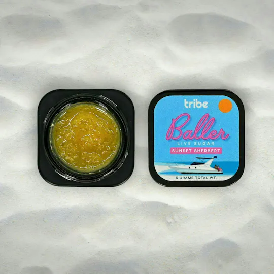 Tribe - Tribe | Sunset Sherbet | Live Sugar Baller | 5g - 1