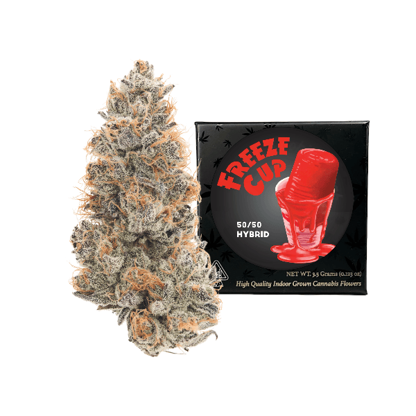 Team Elite Genetics - Freeze Cup | Big Buds | 3.5g - 1