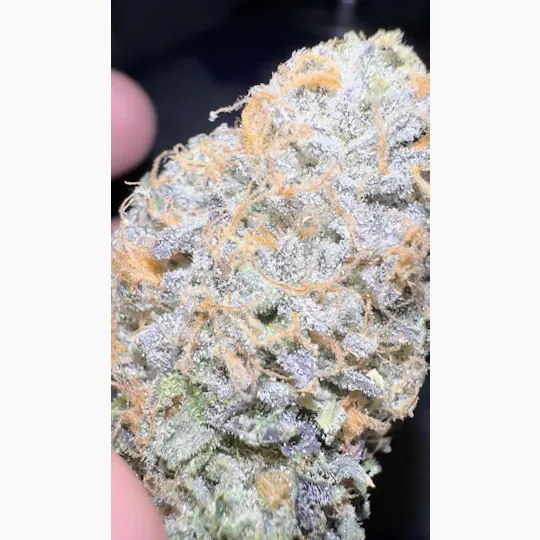 Oklahoma Outlawz - Oklahoma Outlawz | The Original Z | Big Buds | 3.5g - 1