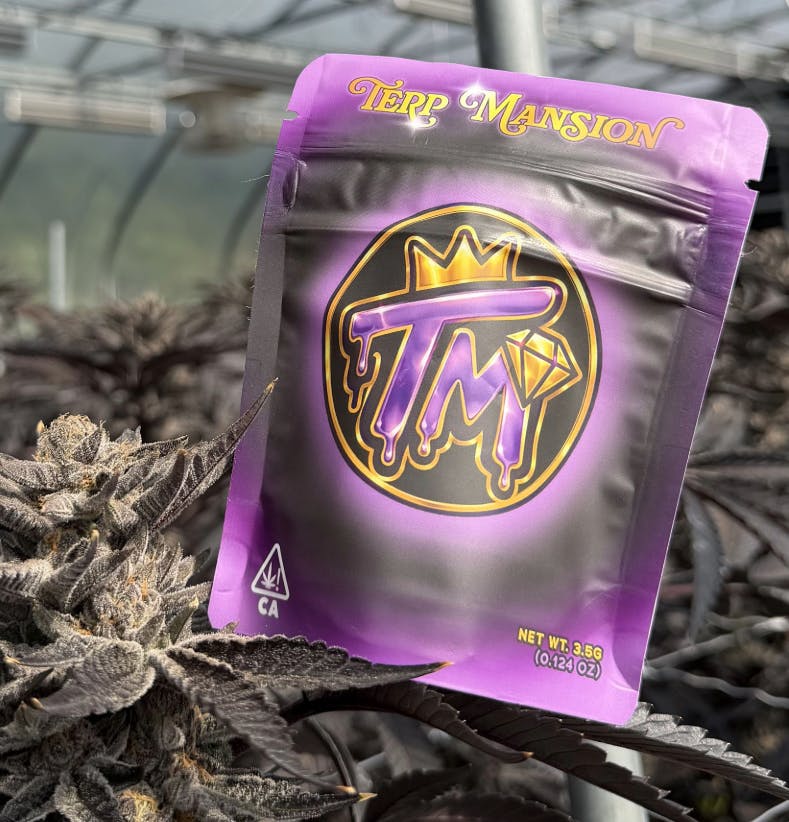 Terp Mansion - Blue Andeze Indoor Flower 3.5g - 1