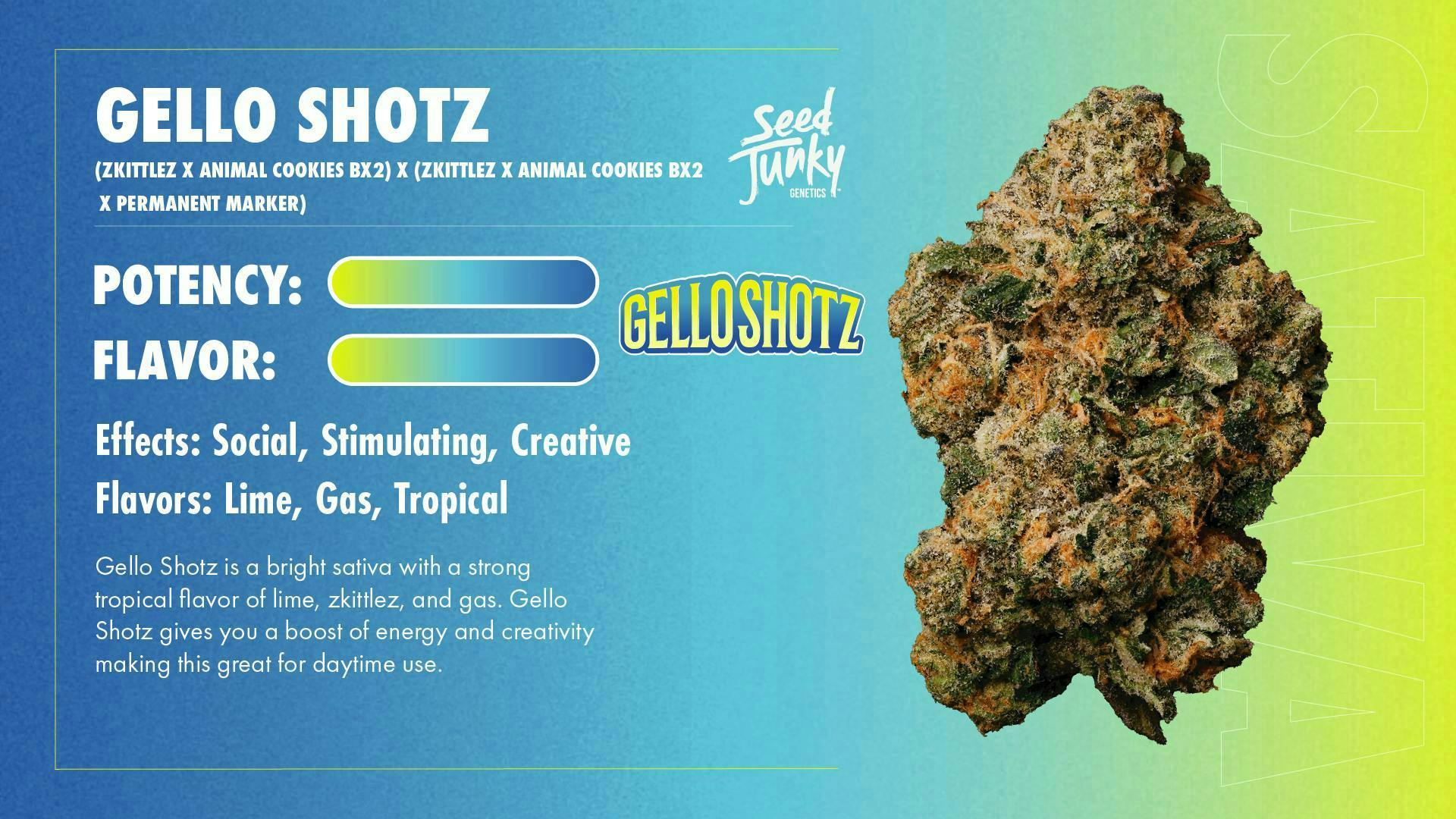 Seed Junky - Gello Shotz | Smalls | 14g - 1