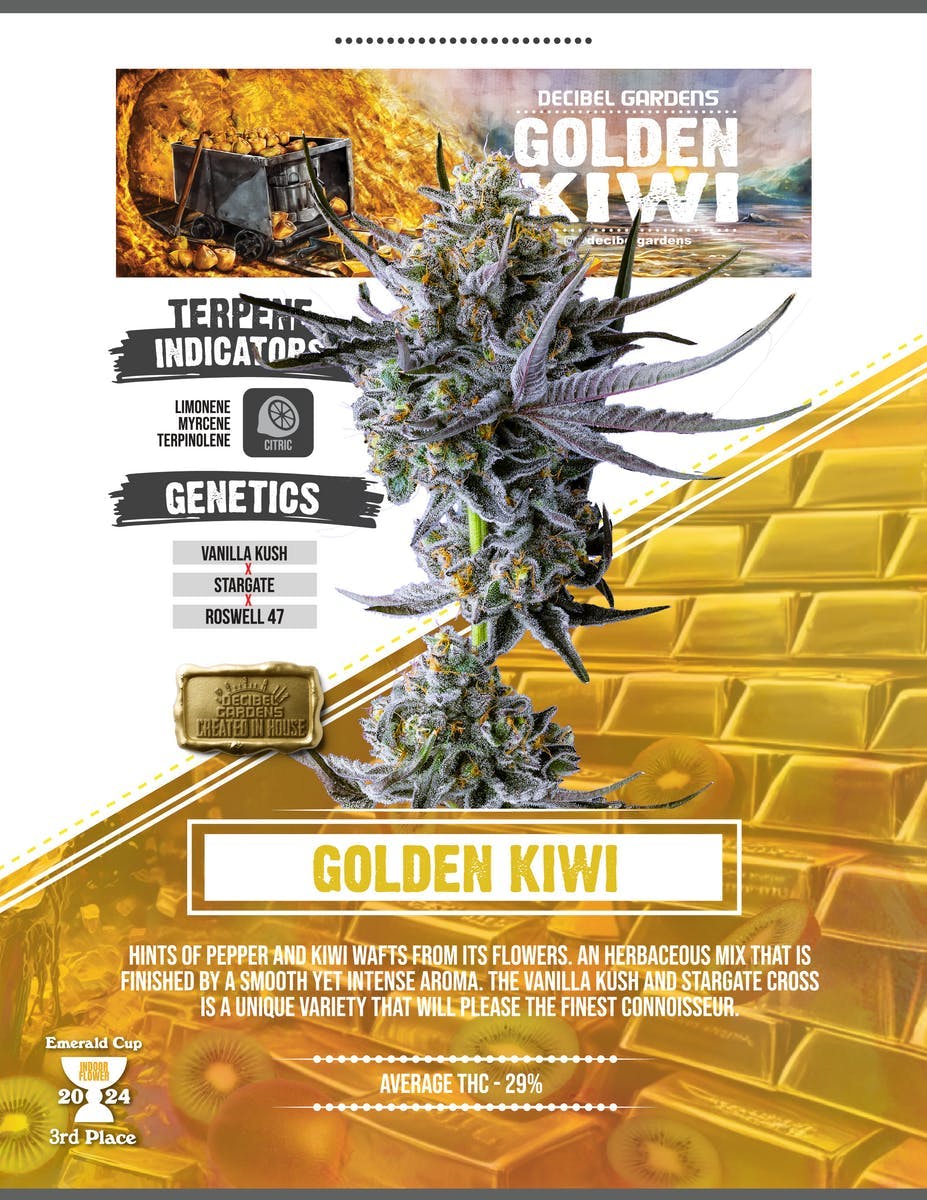 Decibel Gardens - Golden Kiwi | Indoor Flower | 3.5g - 1