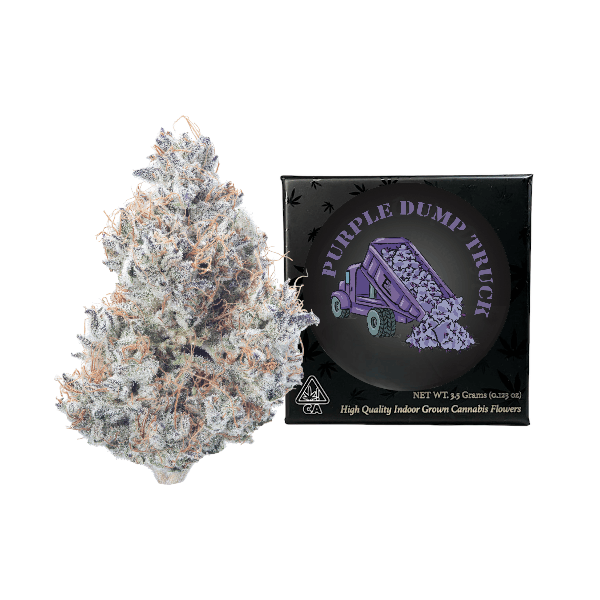 Team Elite Genetics - Purple Dump Truck | Big Buds | 3.5g - 1