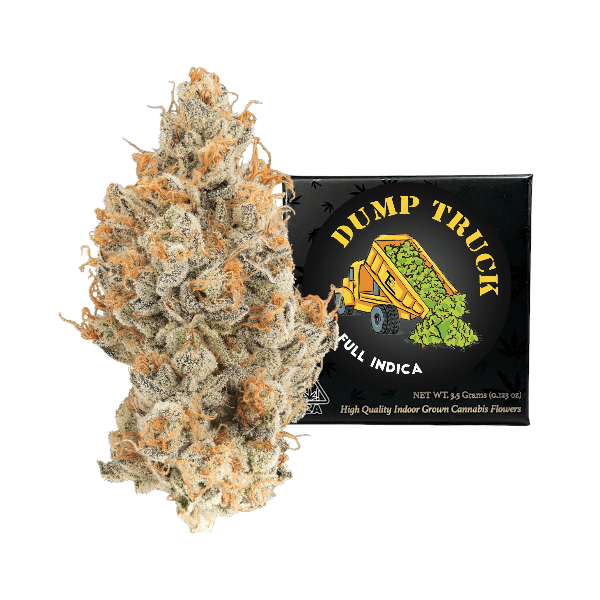 Team Elite Genetics - Dump Truck | Big Buds | 3.5g - 1