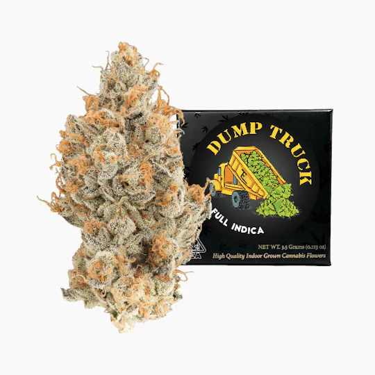 Team Elite Genetics - Dump Truck | Big Buds | 3.5g - 1