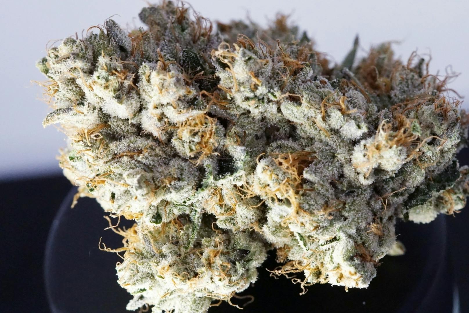 KushCompany - KushCo OG - 1