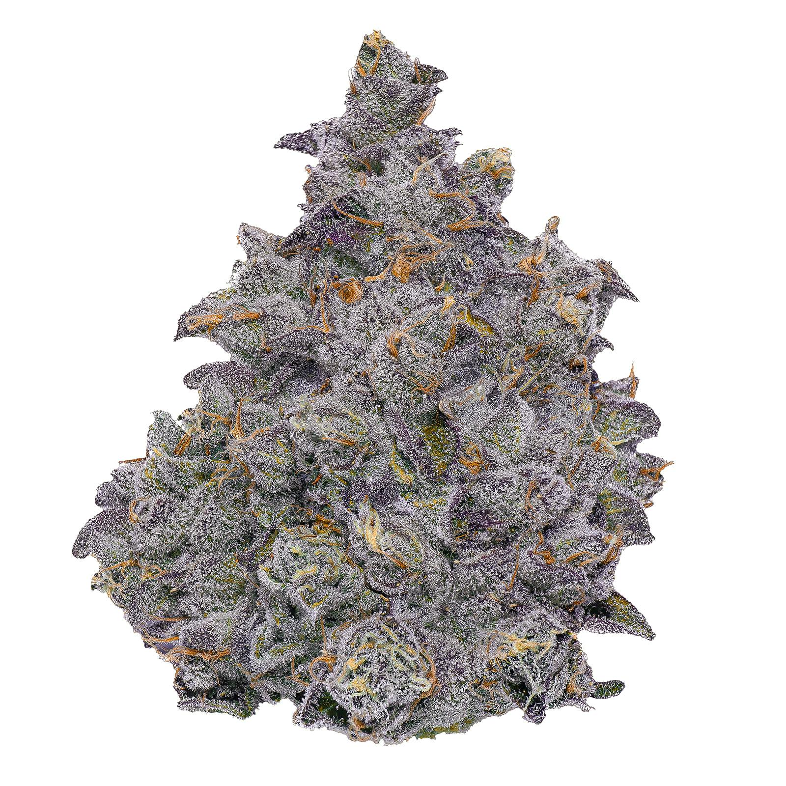 Fig Farms - Fig Farms | Animal Face | Big Buds - 1