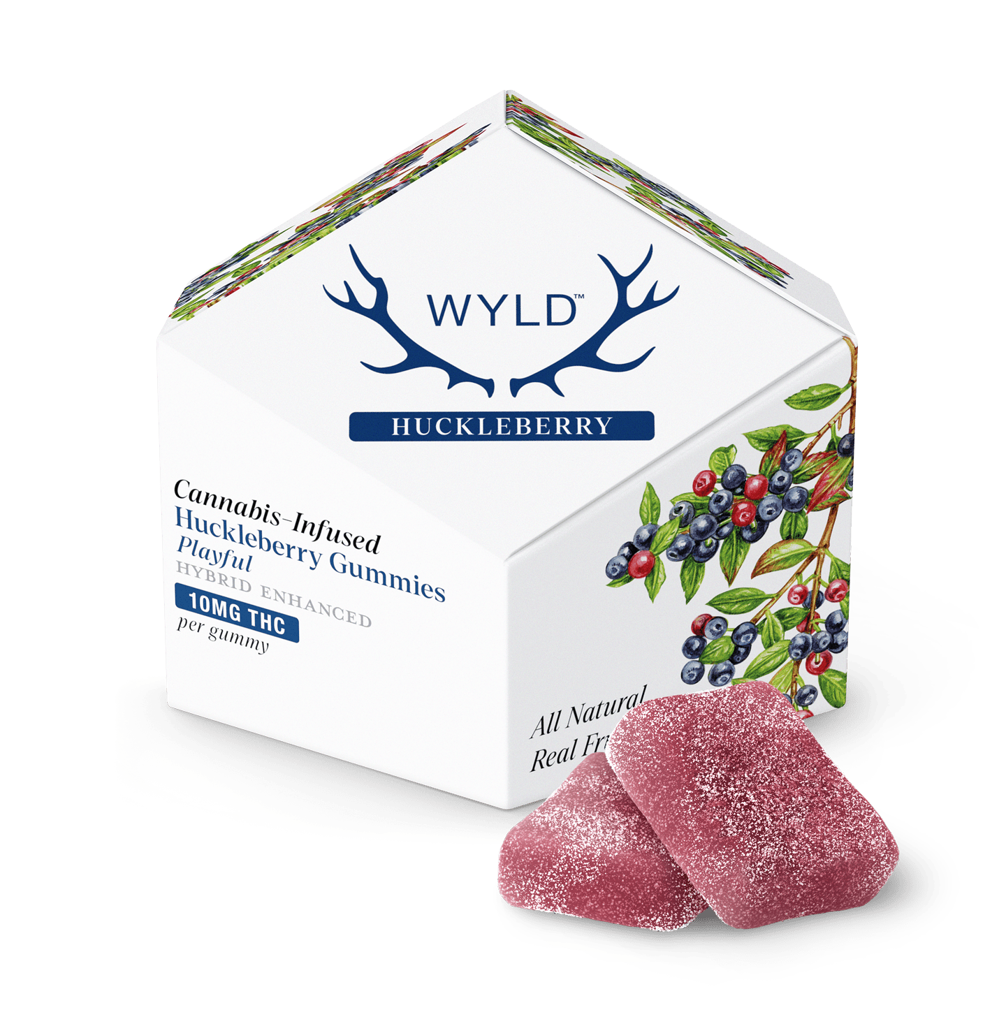 WYLD - WYLD | Huckleberry Hybrid Enhanced Gummies | 100mg | 10ct | 10mg/ea - 1