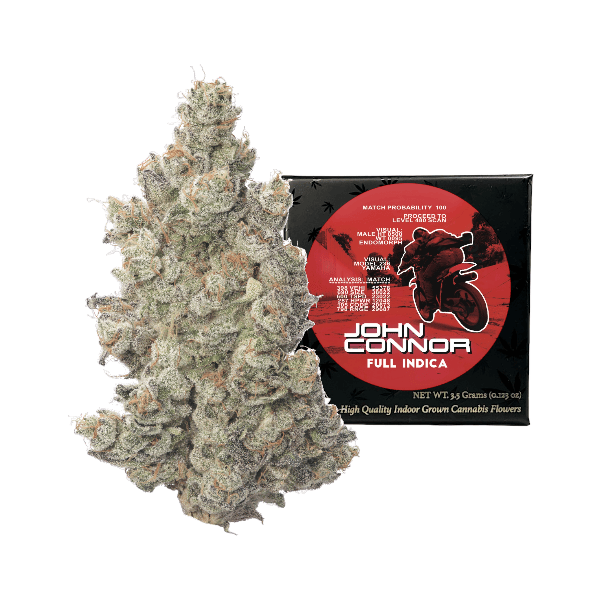 Team Elite Genetics - John Connor | Big Buds | 3.5g - 1