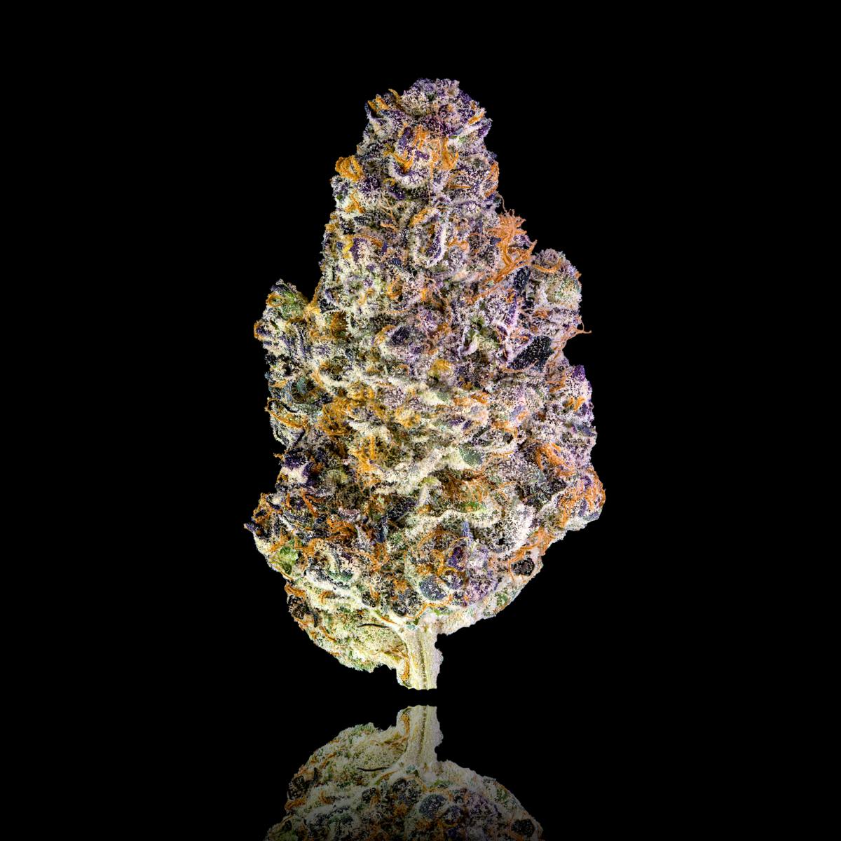 Maven Genetics - Key Lime Jack Gold Blend [1g] - 1
