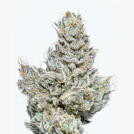 Connected Cannabis Co. - El Jefe | Big Buds | 3.5g - 1