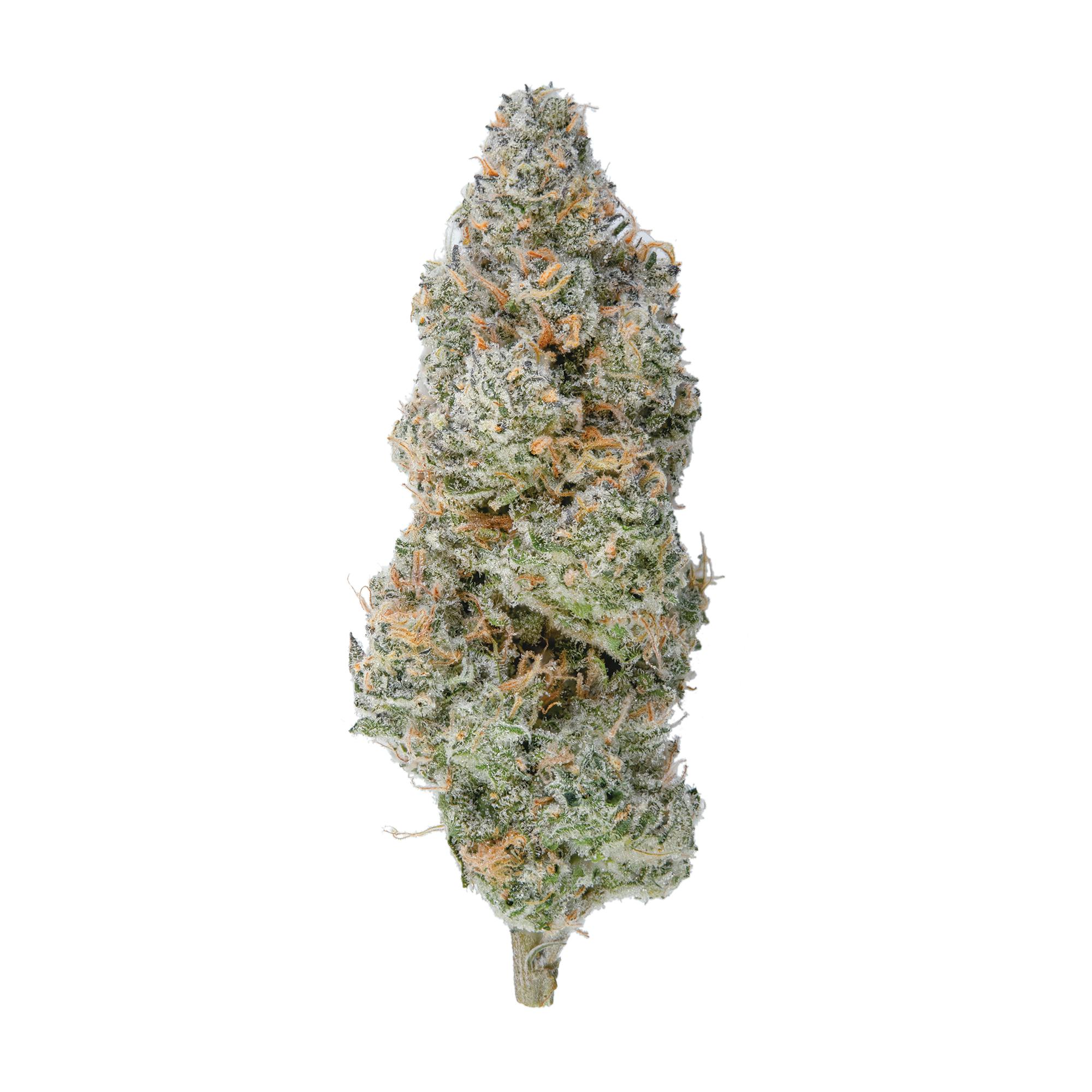 Fire Bros. - Lemon Slushee | Big Buds - 1