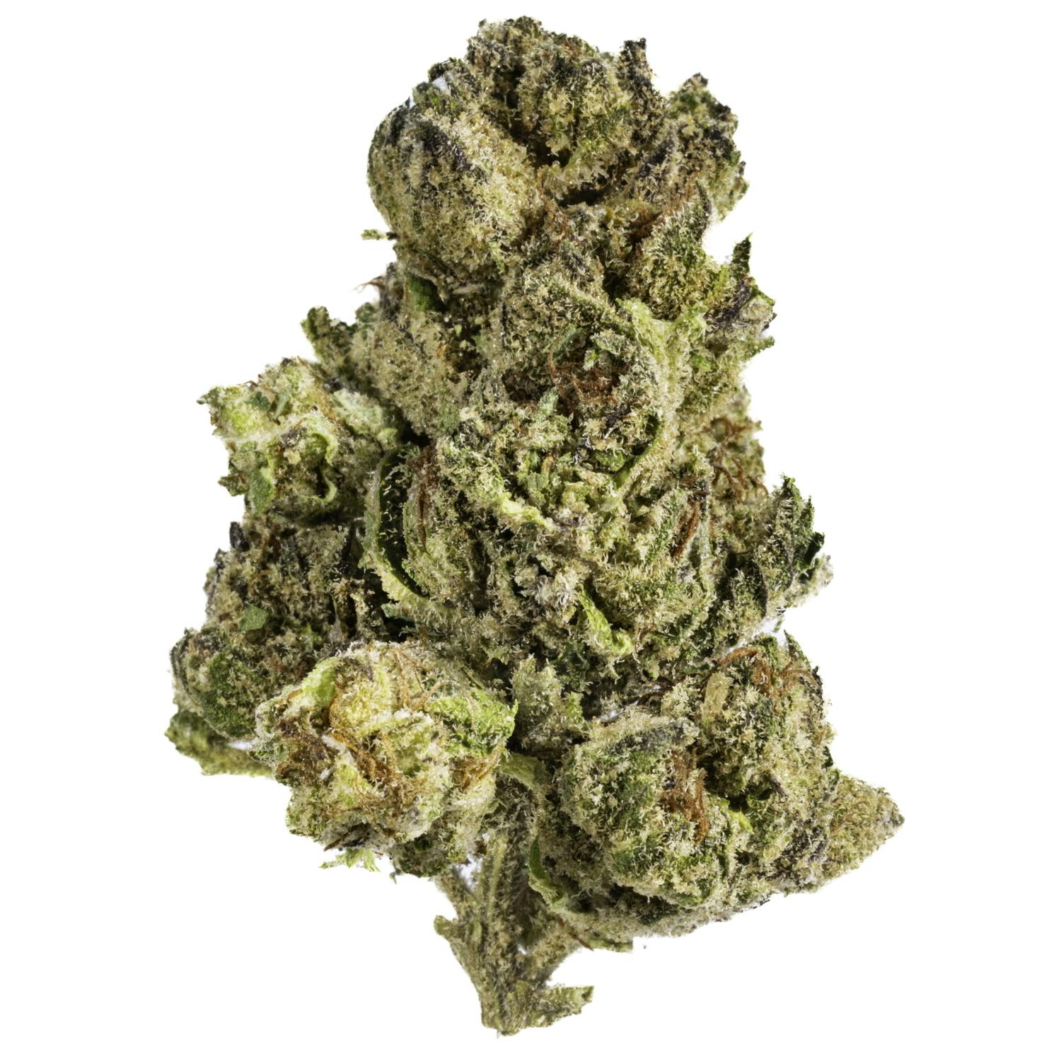 West Coast Cure - Pink Champagne - 14G Premium Flower - 1