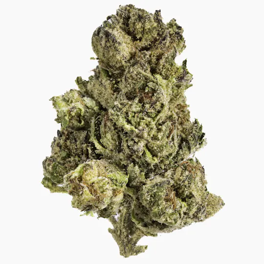 West Coast Cure - Pink Champagne - 14G Premium Flower - 1