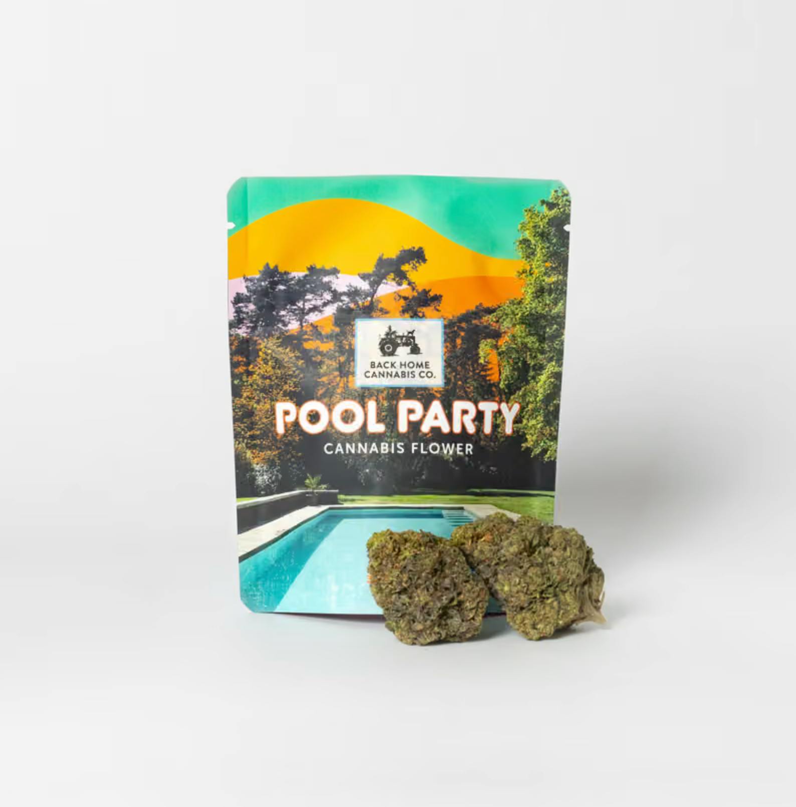 Back Home Cannabis Co. - Pool Party | Pineapple Express | Big Buds | 3.5g - 1