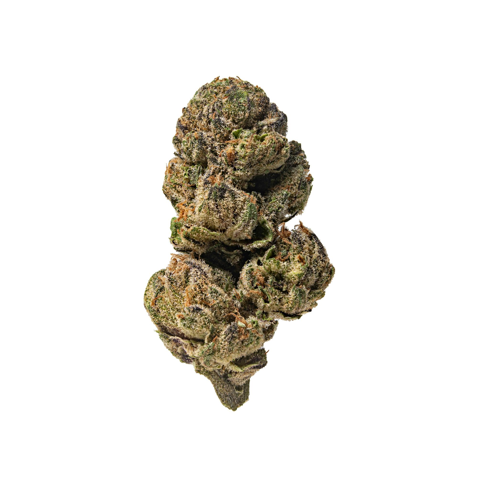 Pacific Stone - Pacific Stone | Blue Z | Big Buds | 7g - 1