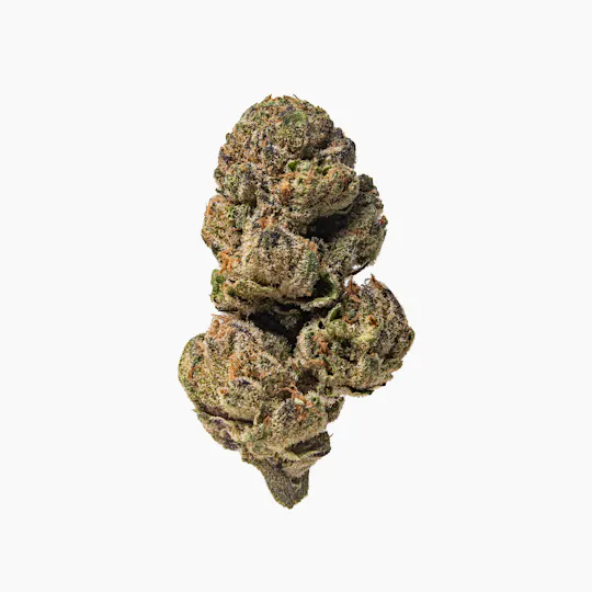 Pacific Stone - Pacific Stone | Blue Z | Big Buds | 7g - 1