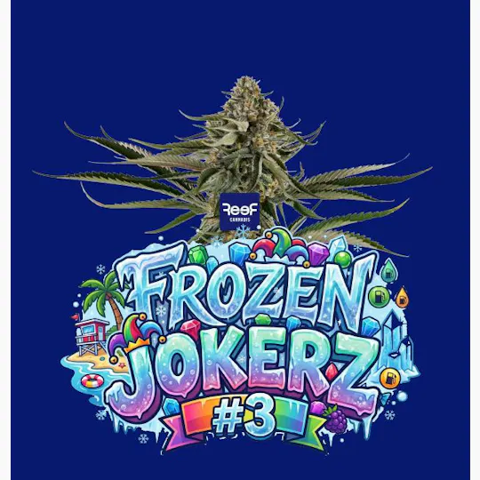 REEF Cannabis - Jokerz #3 Small buds - 1