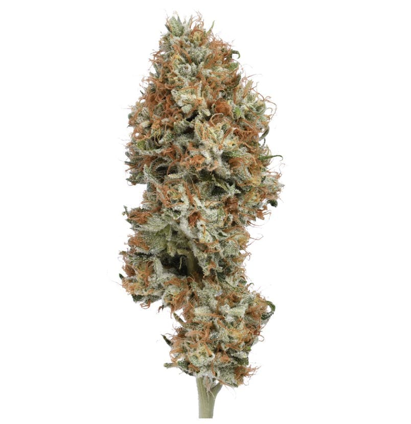Green Dawg - Dawgwalker | Big Buds | 3.5g - 1
