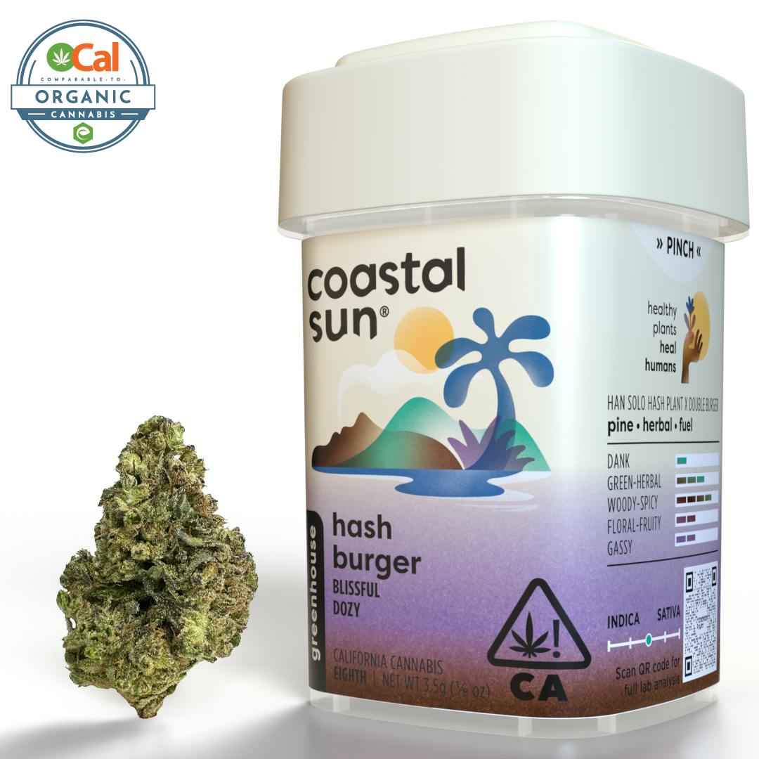 Coastal Sun - Hash Burger Greenhouse Flower 3.5g - 1
